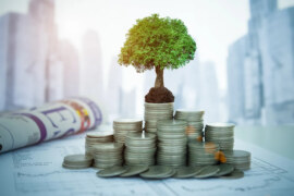 ما هي أهم نصيحة ماليه للشباب ؟ سؤال كان على موقع Quora وكانت ادي أفضل اجابه